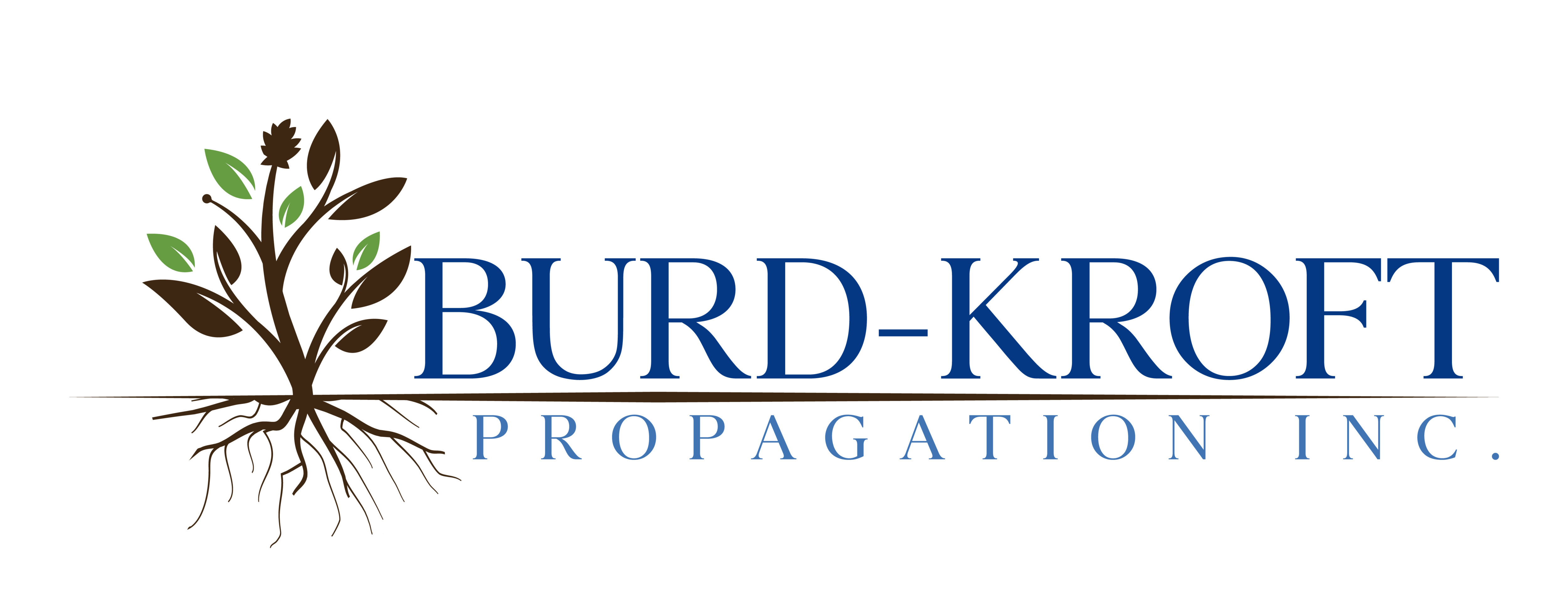 Burd-Kroft Propagation